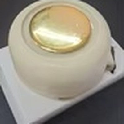 files/mirai-rv-img3.jpg